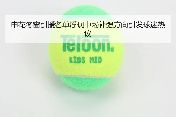 申花冬窗引援名单浮现中场补强方向引发球迷热议